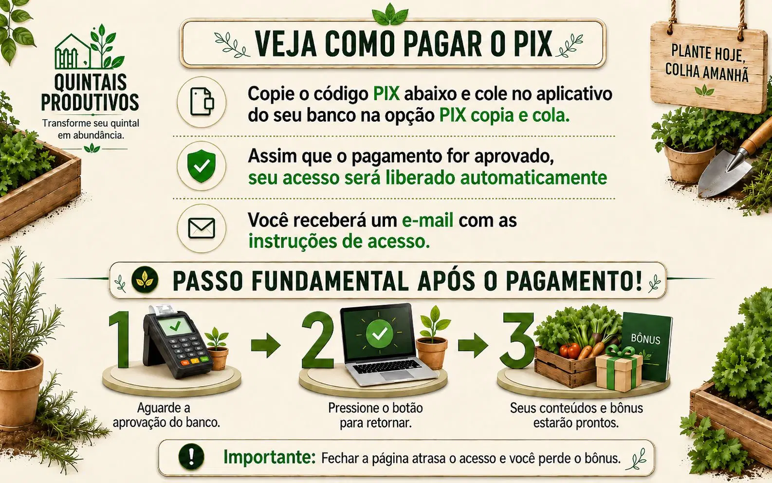 Imagem da oferta