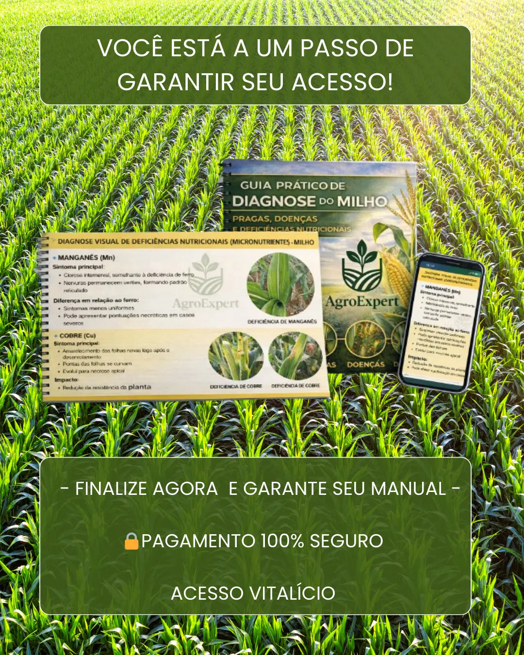 Imagem da oferta
