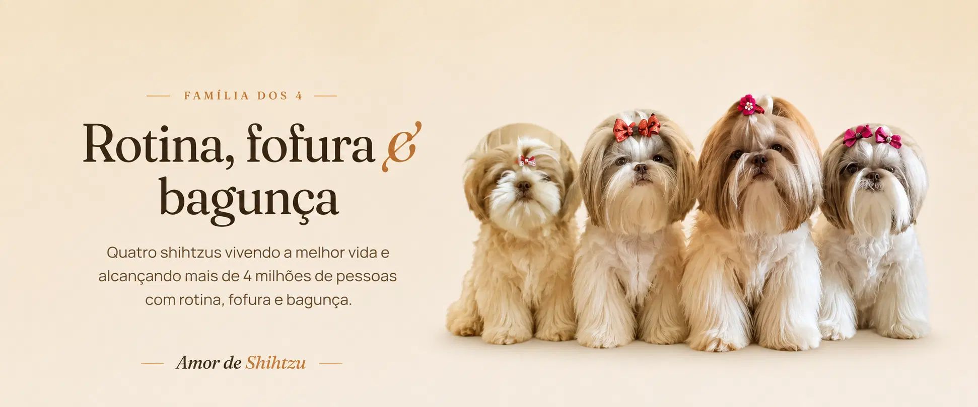 Imagem da oferta