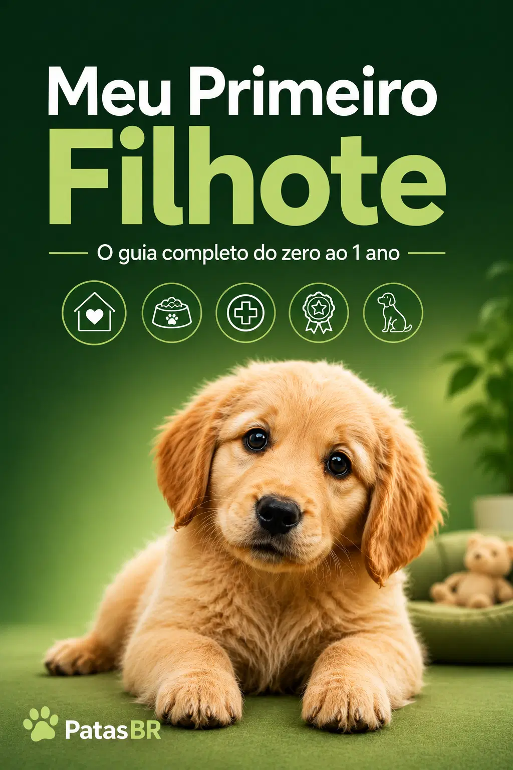 Imagem da oferta