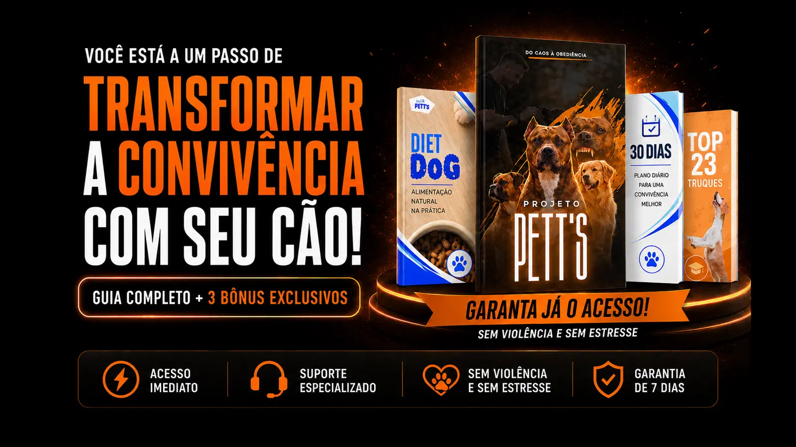 Imagem da oferta
