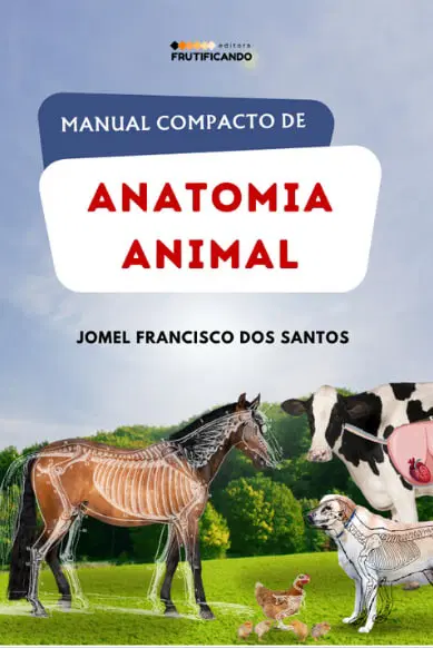 Imagem da oferta