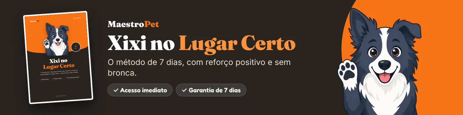 Imagem da oferta