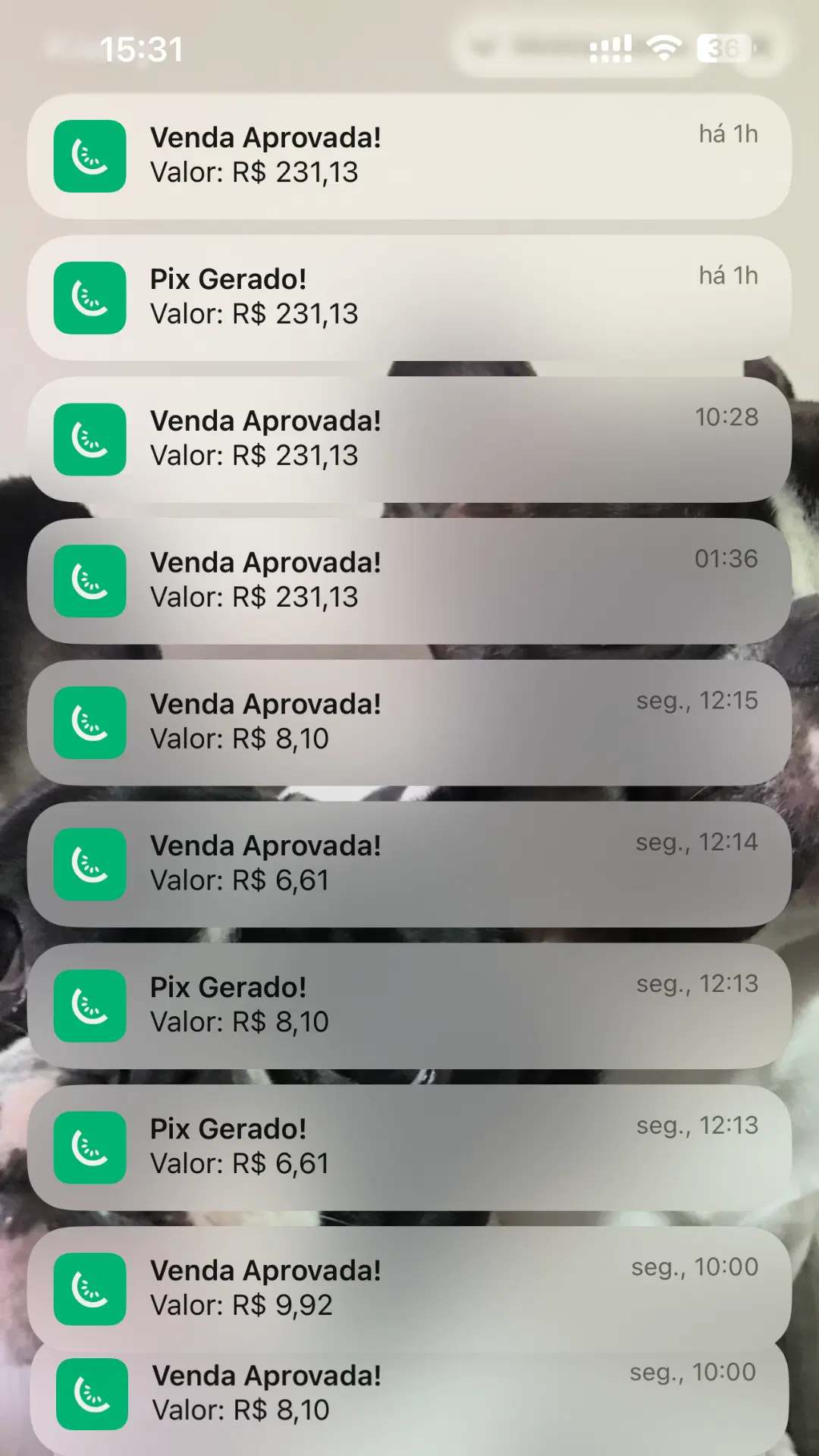 Imagem da oferta