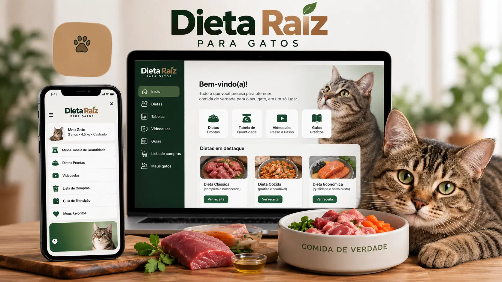 Imagem da oferta