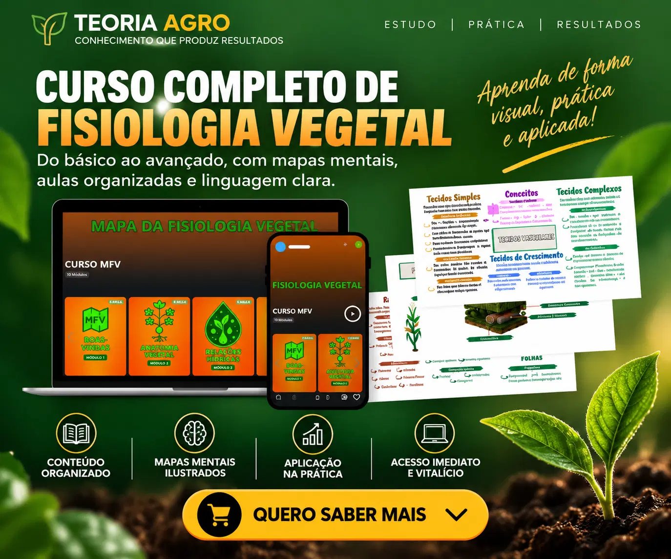 Imagem da oferta