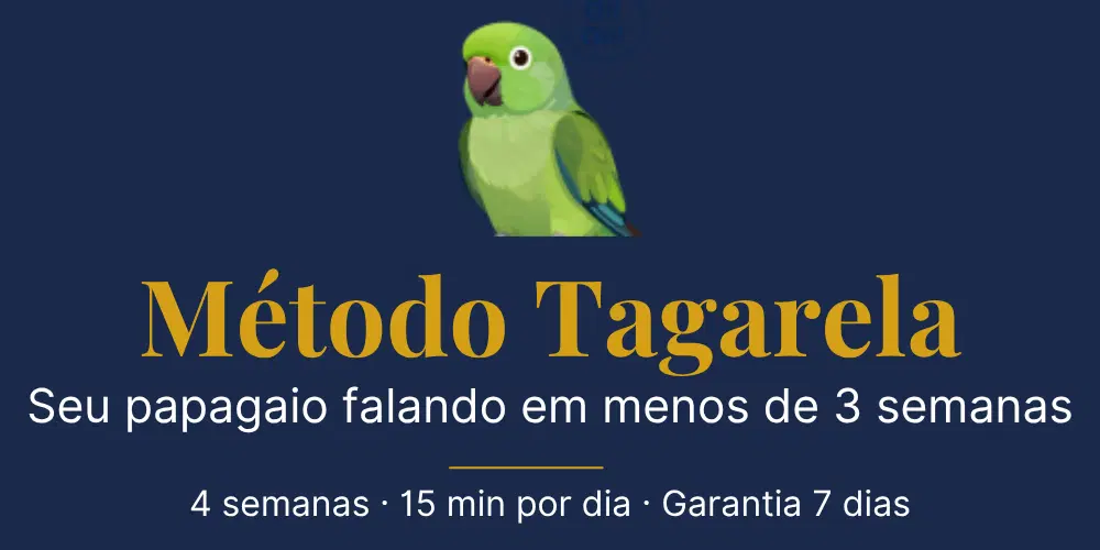 Imagem da oferta