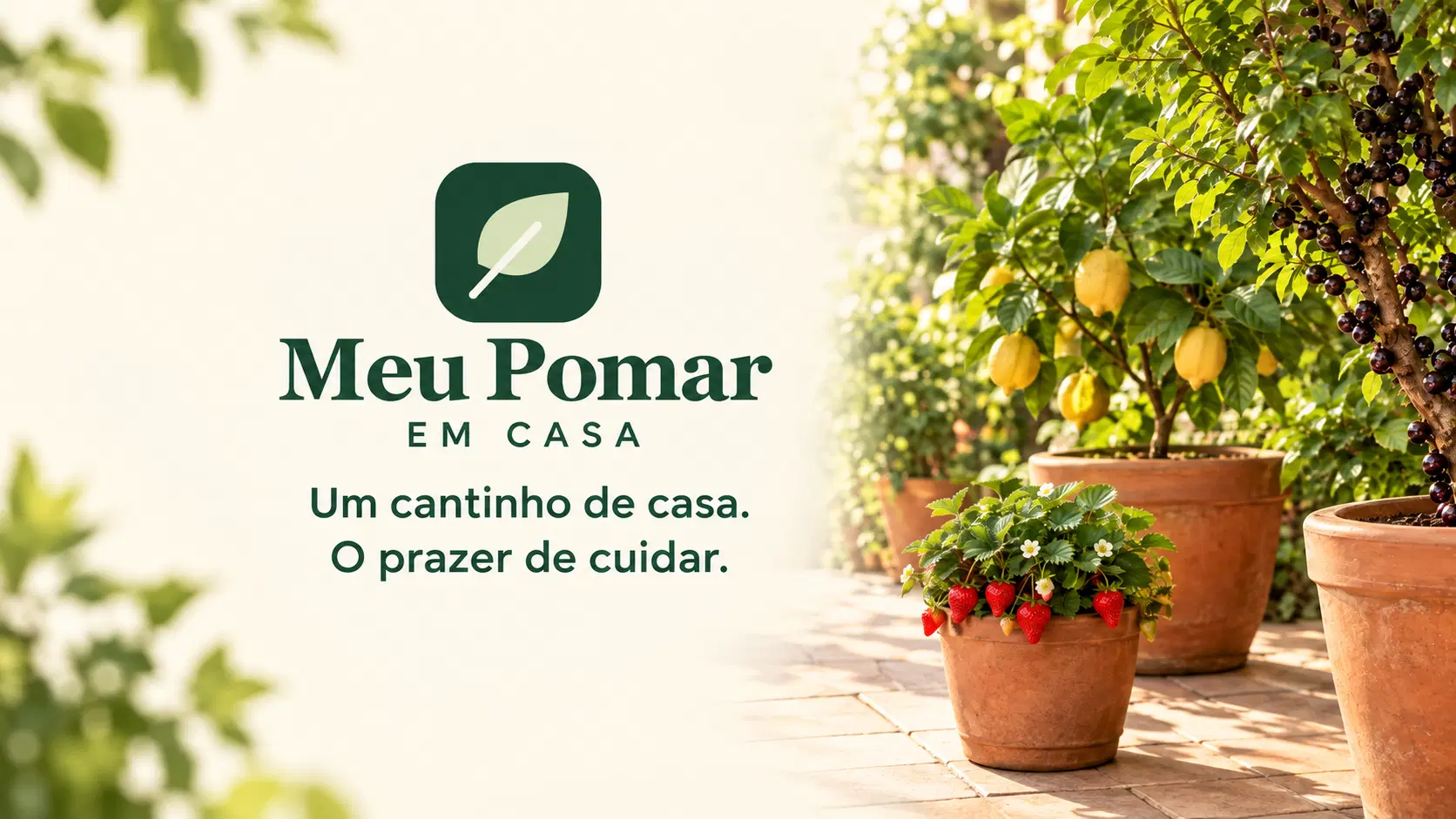 Imagem da oferta