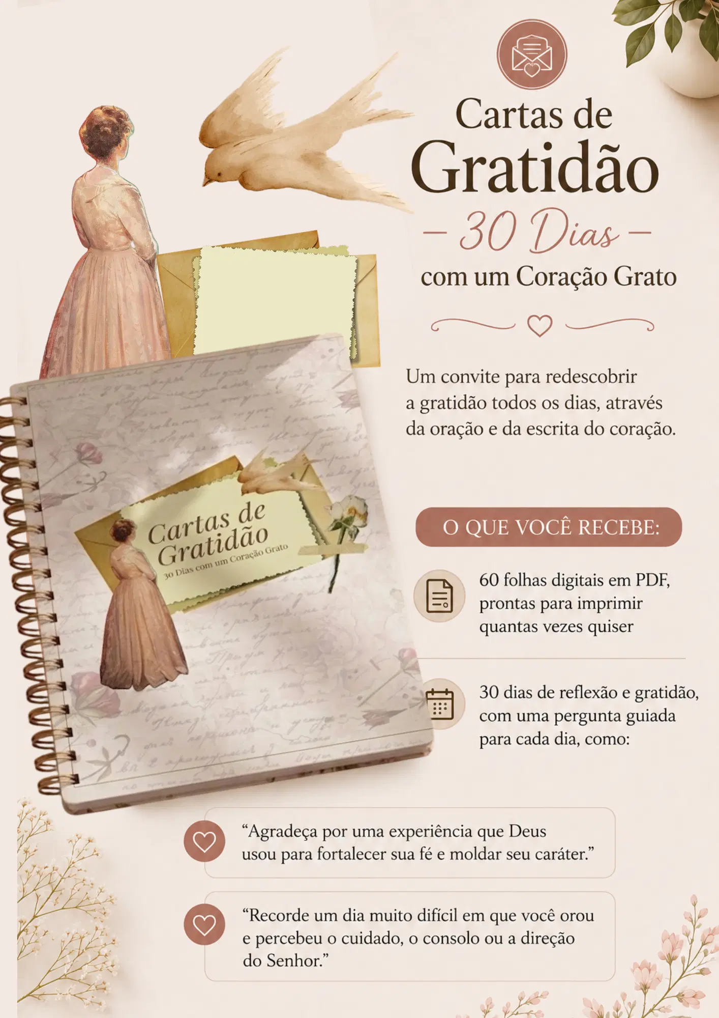Imagem da oferta