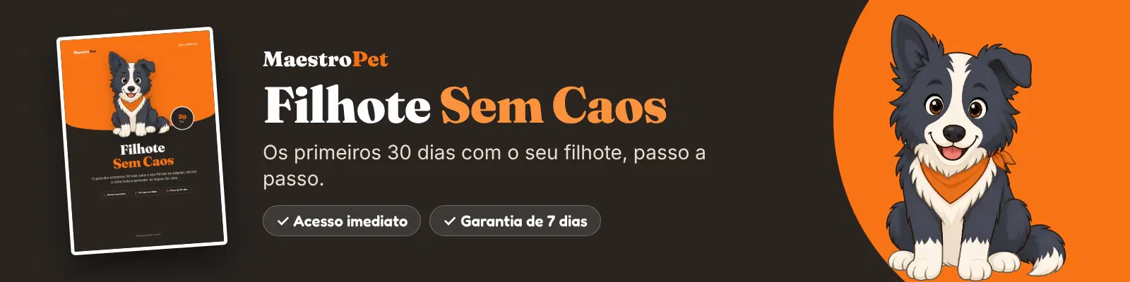 Imagem da oferta