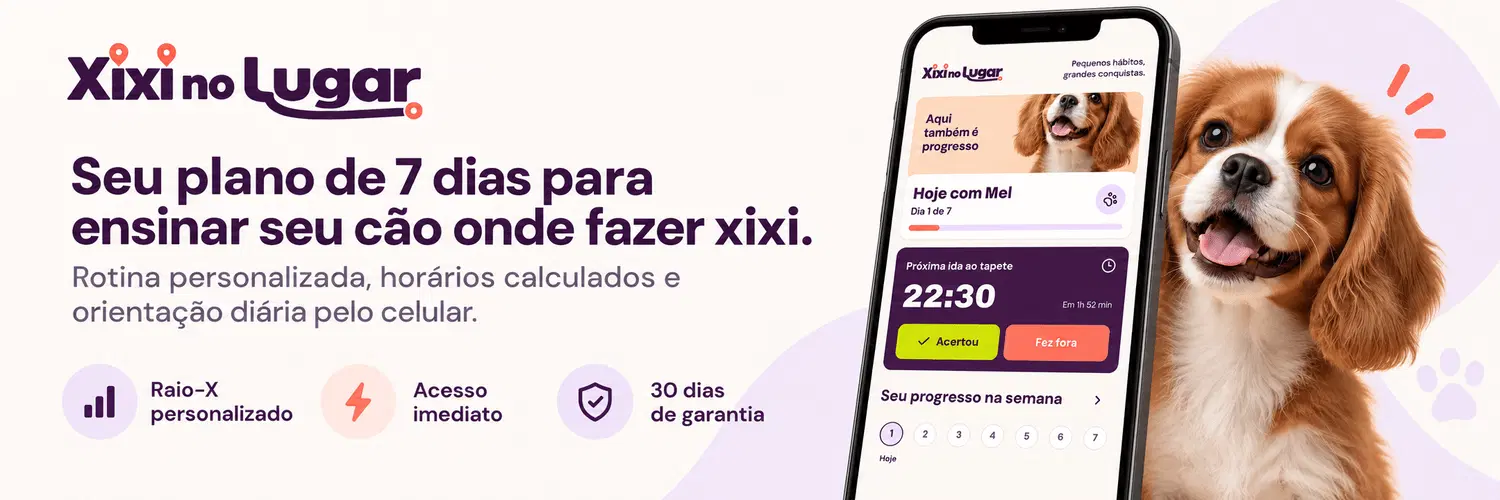 Imagem da oferta