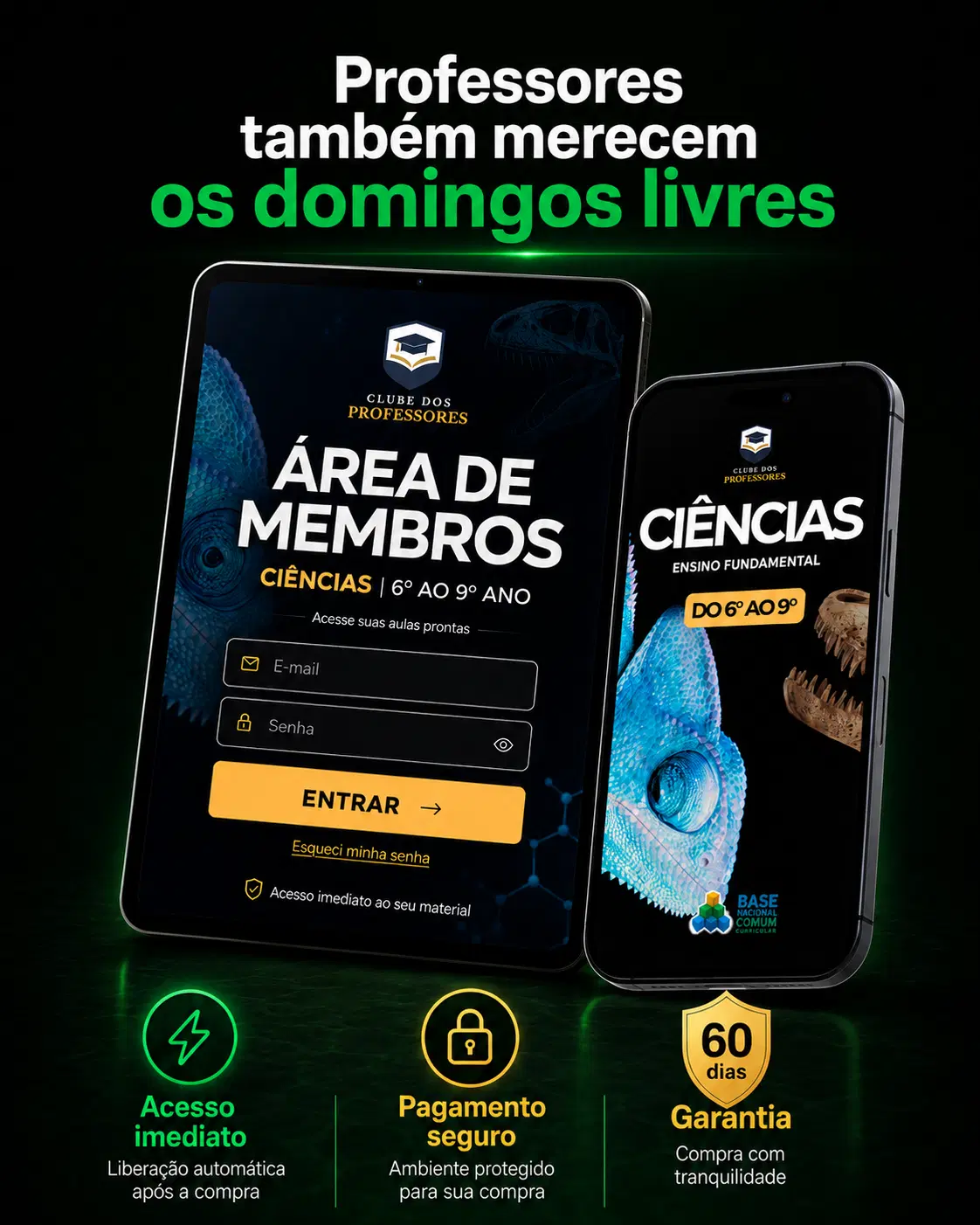 Imagem da oferta