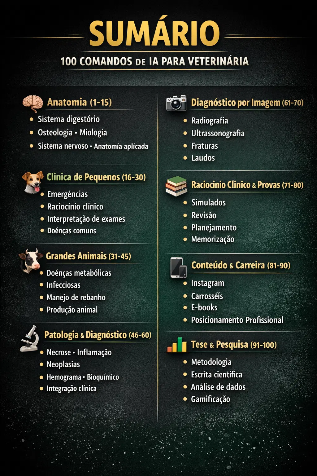 Imagem da oferta