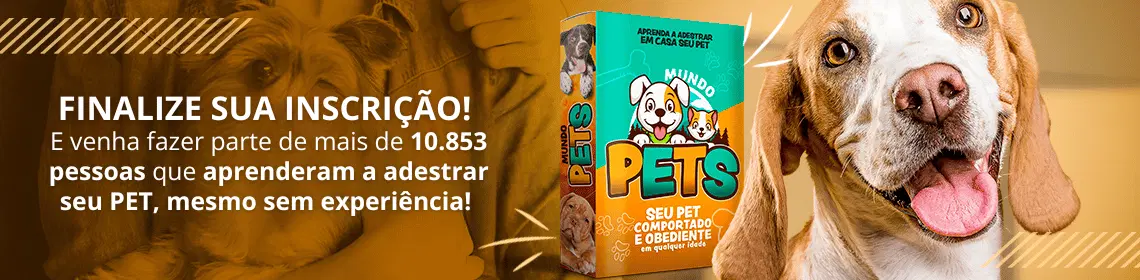 Imagem da oferta