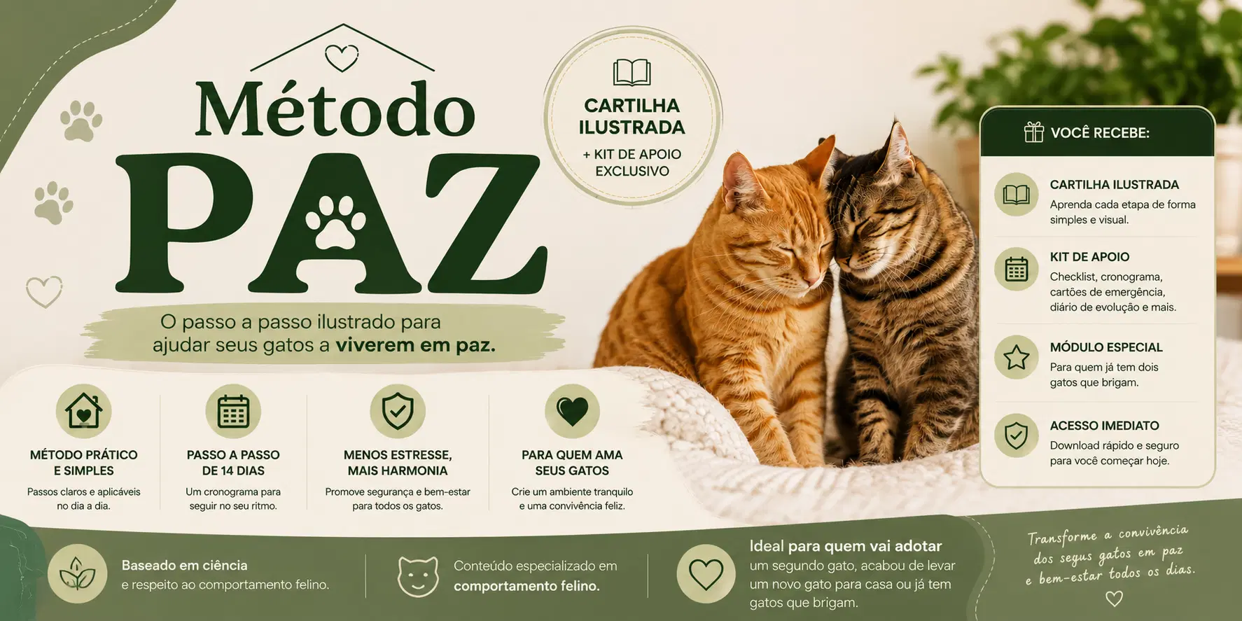Imagem da oferta