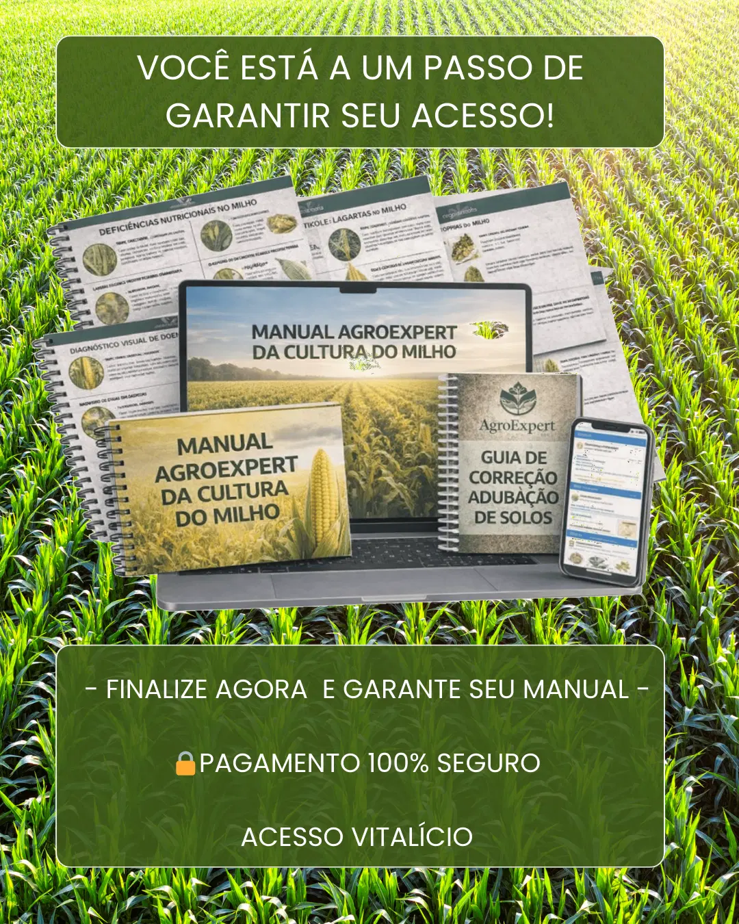 Imagem da oferta
