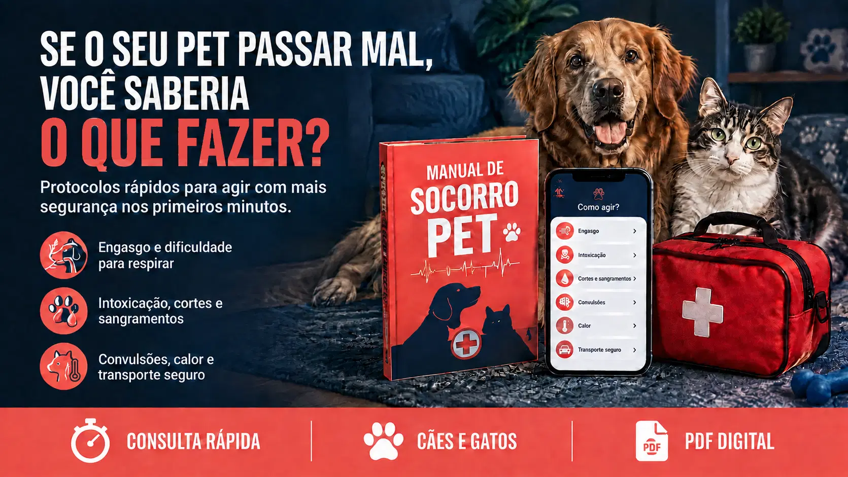 Imagem da oferta