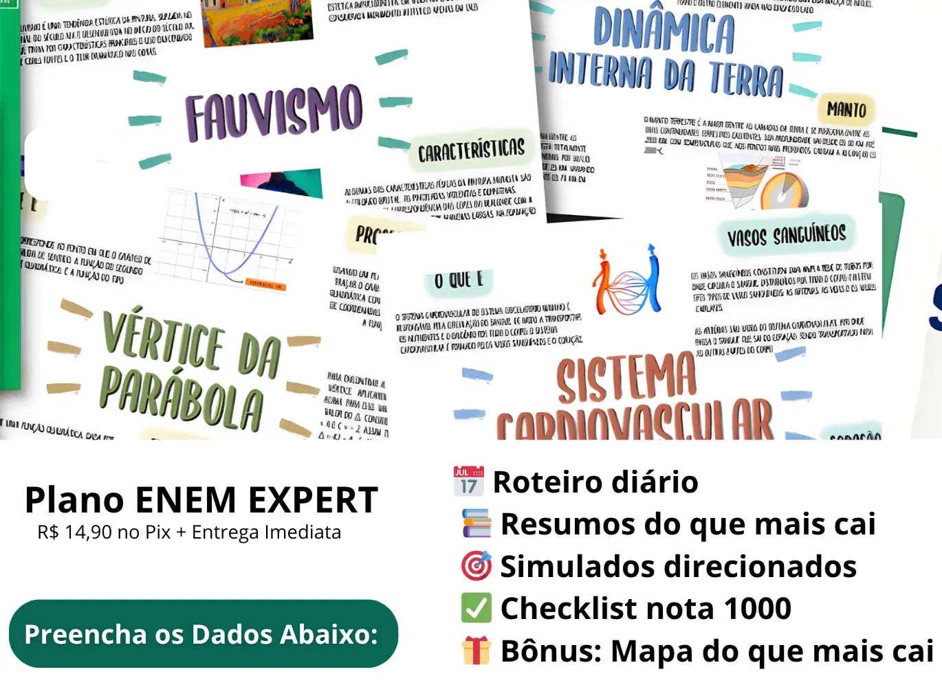 Imagem da oferta