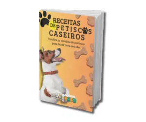 35 RECEITAS DE PETISCOS CASEIROS