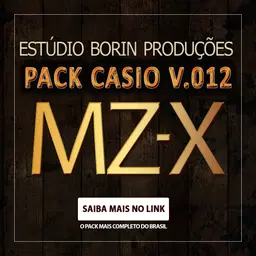 PACK BORIN V012 CASIO MZ-X/500/300/CTK/CTX/WK