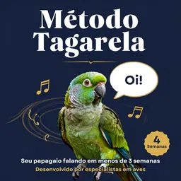 Método Tagarela