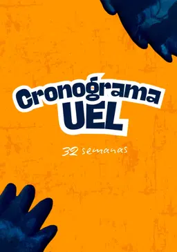 Cronograma Intensivo 4 a 9 semanas