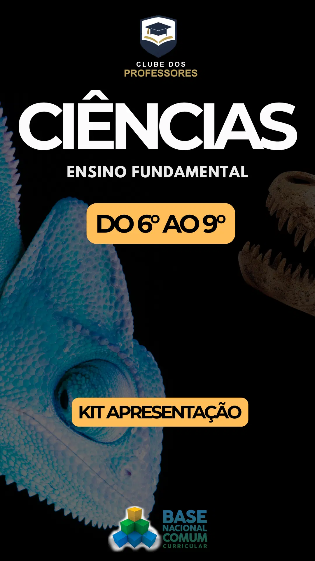 Kit Apresentação em sala -  Slides e Mapas Mentais