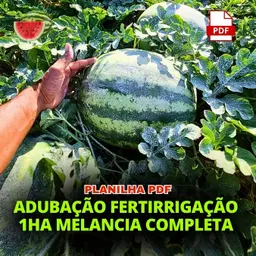 PLANILHA MELANCIA FERTIL 1HA
