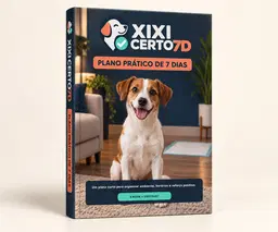 Xixi Certo 7D