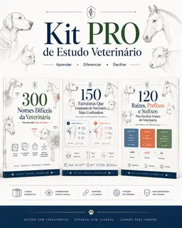 KIT COMPLETO - 300 Nomes