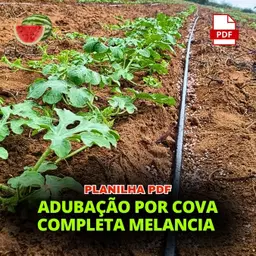 PLANILHA ADUBAÇÃO POR COVA MELANCIA