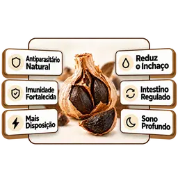 Receita Alho Negro Caseiro