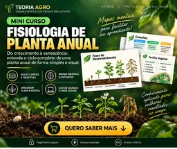 Fisiologia de Uma Planta Anual