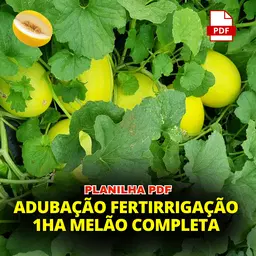 PLANILHA MELAO FERTIL 1HA