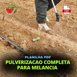 PLANILHA PULVERIZAÇÃO MELANCIA