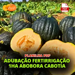 PLANILHA ABOBORA CABOTIA FERTIL 1HA