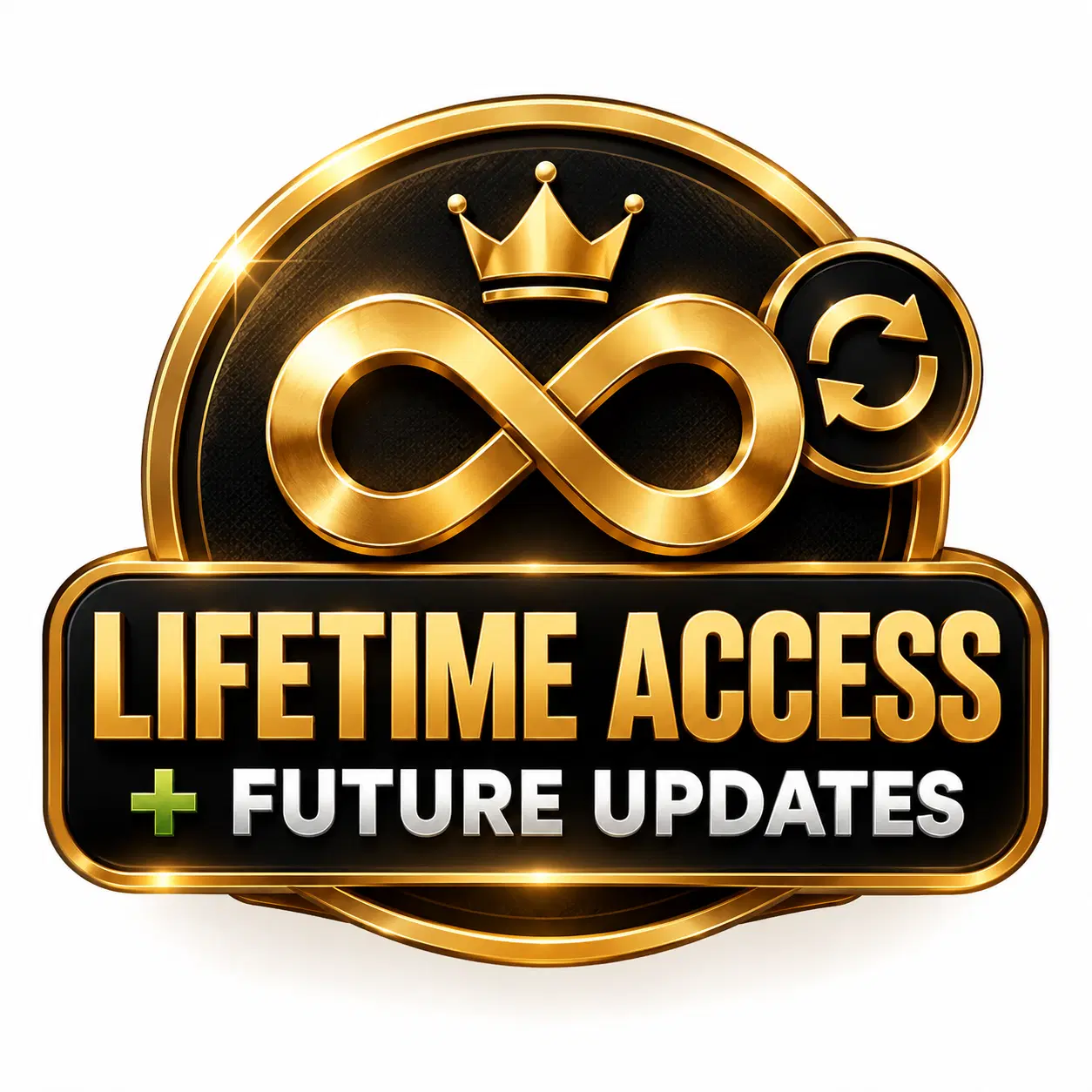 Lifetime VIP Access + Future Updates