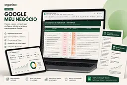 Sistema Google Meu Negócio - Organiza +
