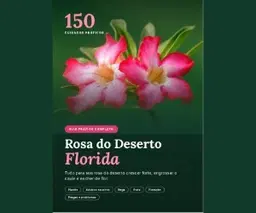 Rosa do Deserto Florida
