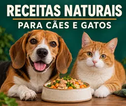 Receitas naturais pra cães e gatos
