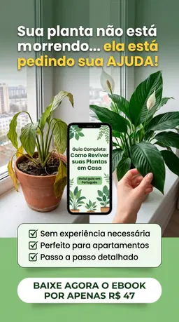 Plantas Que Sobrevivem