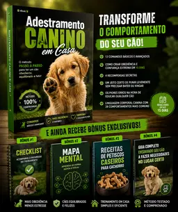 Adestramento Canino em Casa