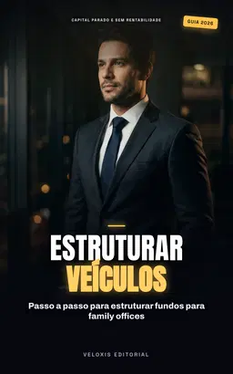 Veículos de PE e VC para Family Offices + Plano de Ação
