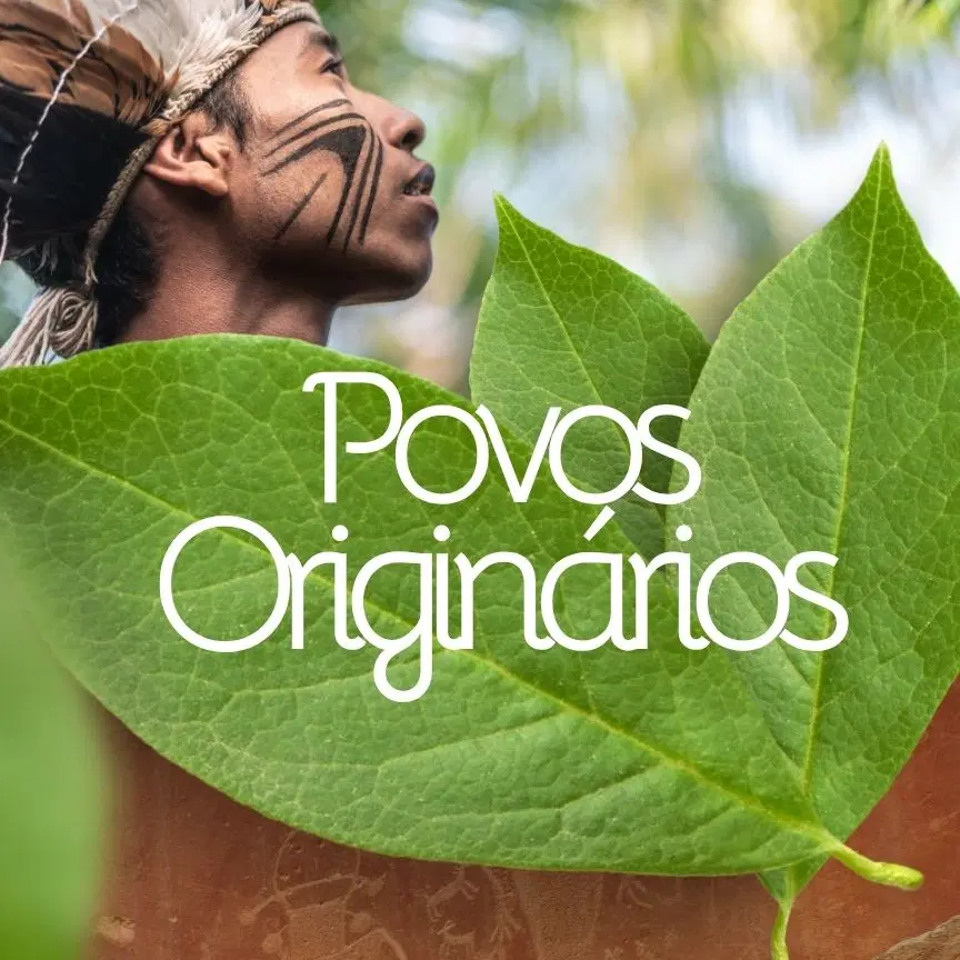 Povos Originários [VITALÍCIO] | Ed. Infantil - Profe Franciele Bierhals