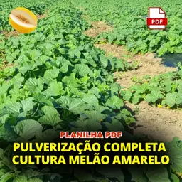 PLANILHA PULVERIZAÇÃO MELAO