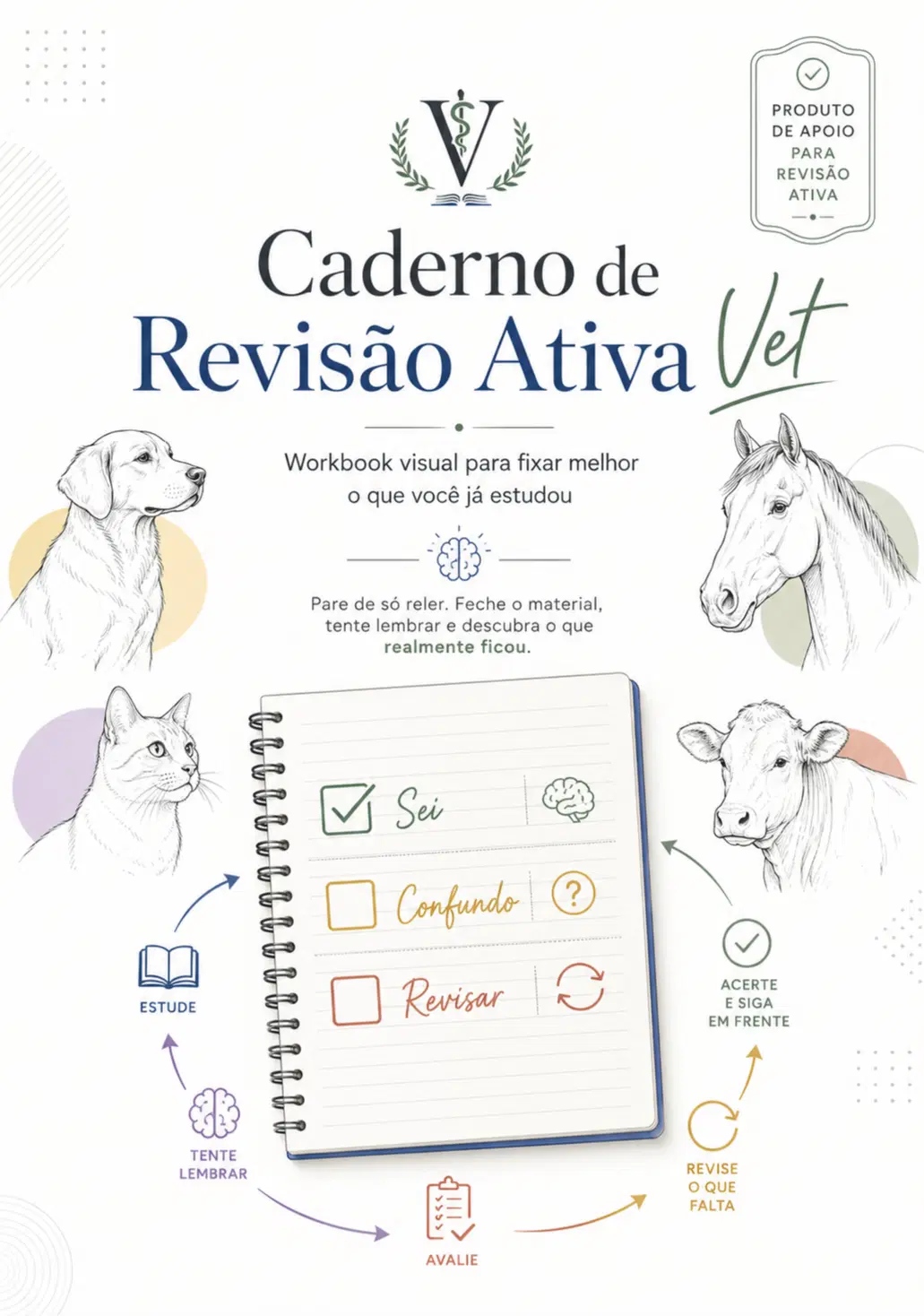Caderno de Revisão AV