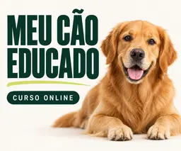 Meu Cão educado