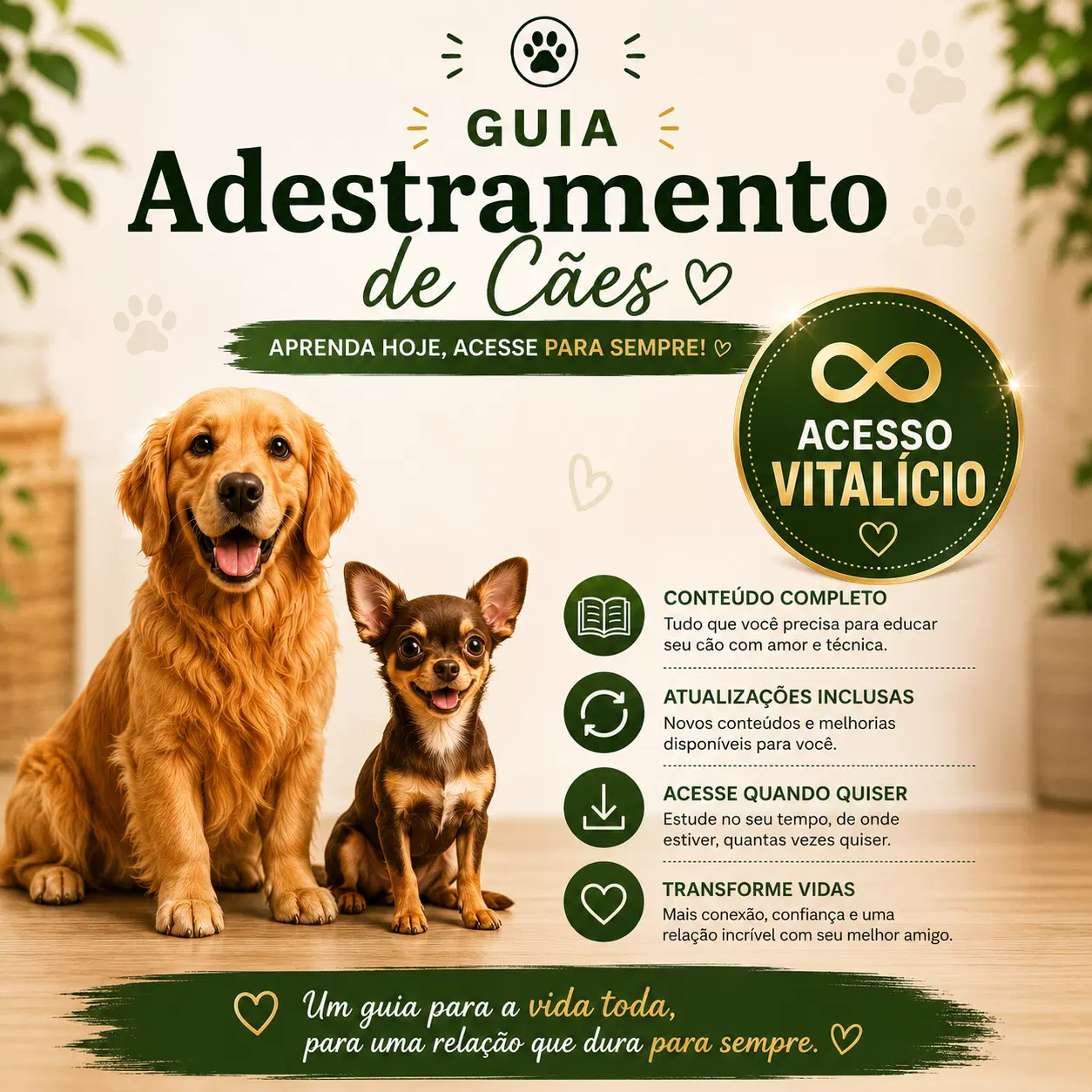 ACESSO VITALÍCIO + ATUALIZAÇÕES