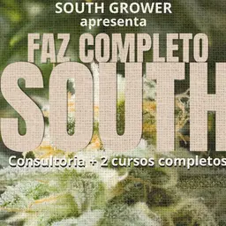 FAZ COMPLETO CHEFE