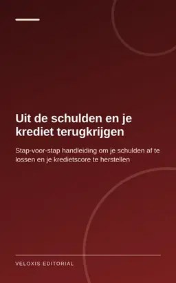 Uit de schulden en je krediet terugkrijgen